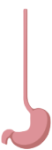 胃